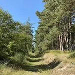 6 Person In Hadsund-by Traum *