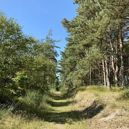6 Person In Hadsund-by Traum *