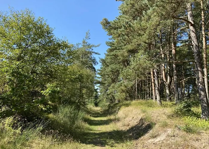 6 Person In Hadsund-by Traum *